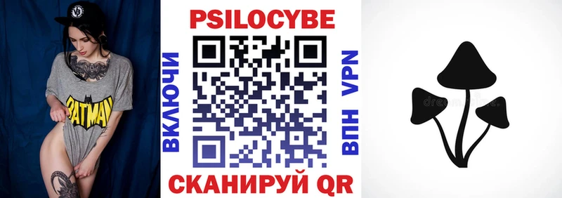купить наркотики сайты ОМГ ОМГ онион Галлюциногенные грибы Psilocybe Чегем