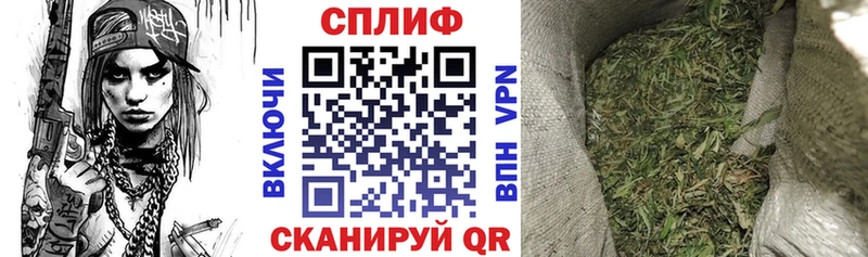 Бошки марихуана планчик  Чегем 